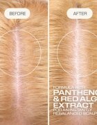 Goldwell Dualsenses Scalp Specialist Rebalance & Hydrate Fluid hidratáló fluid a fej bőrsejtjeinek megújítására 150 ml