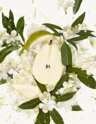 Gucci Flora Gorgeous Gardenia Eau de Parfum utántölthető hölgyeknek Refill 150 ml