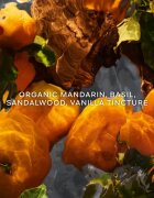 GUERLAIN Aqua Allegoria Mandarine Basilic Forte ajándékszett hölgyeknek