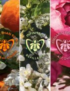 GUERLAIN Aqua Allegoria Rosa Verde ajándékszett hölgyeknek