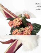 HERMÈS Colognes Collection Eau de Rhubarbe Écarlate Eau de Cologne unisex 200 ml