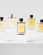 HERMÈS Terre d’Hermès Eau de Parfum Intense Eau de Parfum intense uraknak 100 ml