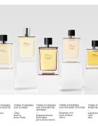 HERMÈS Terre d’Hermès Eau Intense Vétiver Eau de Parfum uraknak 100 ml