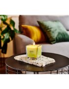 ípuro Essentials Lime Light illatgyertya 125 g