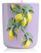 ípuro Travel The World Amalfi illatgyertya kupakkal 270 g