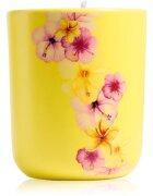 ípuro Travel The World Hawaii illatgyertya kupakkal 270 g