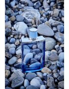 Jimmy Choo Man Aqua Eau de Toilette uraknak 30 ml