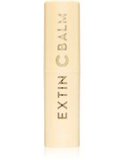 KAHI Extin C Balm Stick hidratáló balzsam az élénk és kisimított arcbőrért 9 g