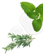 Kallos KJMN Professional Rosemary regeneráló és védő olaj a sérült hajra és töredezett hajvégekre 50 ml