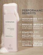KERASILK Essentials Repairing Shampoo tisztító és tápláló sampon száraz és sérült hajra 250 ml