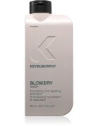 Kevin Murphy Blow.Dry Wash tápláló sampon a töredezett károsult hajra 250 ml