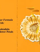 Kiehl's Calendula Herbal-Extract Toner arctonikum alkoholmentes 250 ml