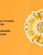 Kiehl's Calendula Serum-Infused Water Cream könnyű hidratáló nappali krém minden bőrtípusra beleértve az érzékeny bőrt is 50 ml