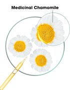Klorane Chamomile sampon szőke hajra 400 ml