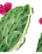 Klorane Prickly Pear hidratáló szérum hialuronsavval 100 ml