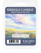 Kringle Candle Beautiful Day illatos viasz aromalámpába 64 g