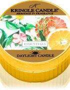 Kringle Candle Essentials teamécses 42 g