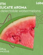 Labello Disney Princess Watermelon Shine hidratáló ajakbalzsam 4.8 g