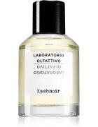 Laboratorio Olfattivo Kashnoir Eau de Parfum unisex 100 ml