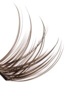 Lash Brow Press&Go Self-Adhesive Eyelashes öntapadós tincses műszempillák Everyday Brownie 1 db