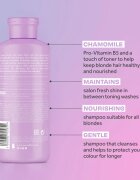 Lee Stafford Bleach Blondes Everyday Care sampon szőke hajra 250 ml