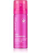 Lee Stafford Styling Original Dry Shampoo száraz sampon a felesleges faggyú felszívódásáért és a haj frissítéséért 50 ml