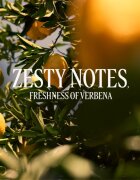 L’Occitane Verveine Agrumes Body Milk parfümös testápoló tej hölgyeknek 250 ml