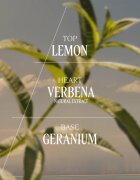 L’Occitane Verveine Eau de Toilette hölgyeknek 75 ml