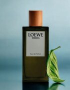Loewe Esencia Eau de Parfum uraknak 100 ml