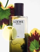 Loewe Esencia Elixir parfüm uraknak 100 ml