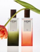 Loewe Esencia Elixir parfüm uraknak 100 ml