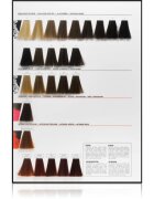 L’Oréal Professionnel Inoa ODS2 hajfesték árnyalat 512 60 g