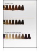 L’Oréal Professionnel Inoa ODS2 hajfesték árnyalat 512 60 g
