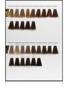 L’Oréal Professionnel Inoa ODS2 hajfesték árnyalat 512 60 g