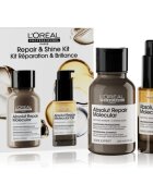L’Oréal Professionnel Serie Expert Absolut Repair Molecular ajándékszett a károsult hajra