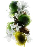 L’Oréal Professionnel Serie Expert Metal Detox mélyen tisztító sampon a festett és károsult hajra 500 ml