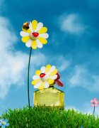 Marc Jacobs Daisy Murakami Eau de Parfum hölgyeknek 50 ml