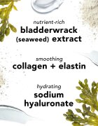Mario Badescu Seaweed Night Cream éjszakai hidratáló krém ásványi anyagokkal 28 g