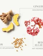 Medavita Requilibre Sebum-Balancing Scalp Lotion szérum a hajra zsíros fejbőrre 12x6 ml
