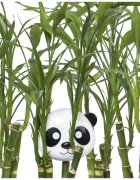 Melii Snack Container uzsonnás doboz Panda 232 ml