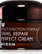 Mizon Multi Function Formula Snail bőrkrém csiga szekréció 60% szűrletével 50 ml