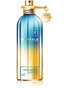 Montale Aoud Lagoon Eau de Parfum unisex 100 ml