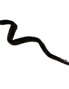 Naj Oleari One Touch Pen Eyeliner ultra-fekete szemhéjtus hölgyeknek 1 ml