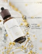 Nanoil Collagen kollagén szérum a ráncok ellen nori alga kivonatával 50 ml