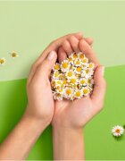 Naturella Normal Plus egészségügyi betétek 18 db