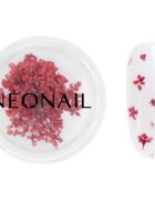 NeoNail Dried Flowers szárított virág körmökre árnyalat 08 Red 1 db