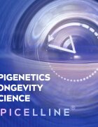 Nivea Cellular Epigenetics fiatalító éjszakai krém 50 ml