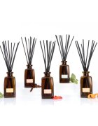 Notino Reed Diffuser Oud Wood aroma diffúzor 250 ml