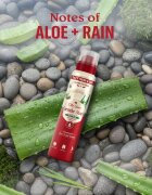 Old Spice Gentle Man's Aloe & Rain alumínium mentes dezodor spray formában 140 ml