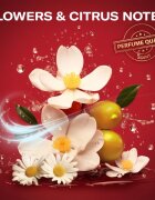 Old Spice Gift Box ajándékszett uraknak